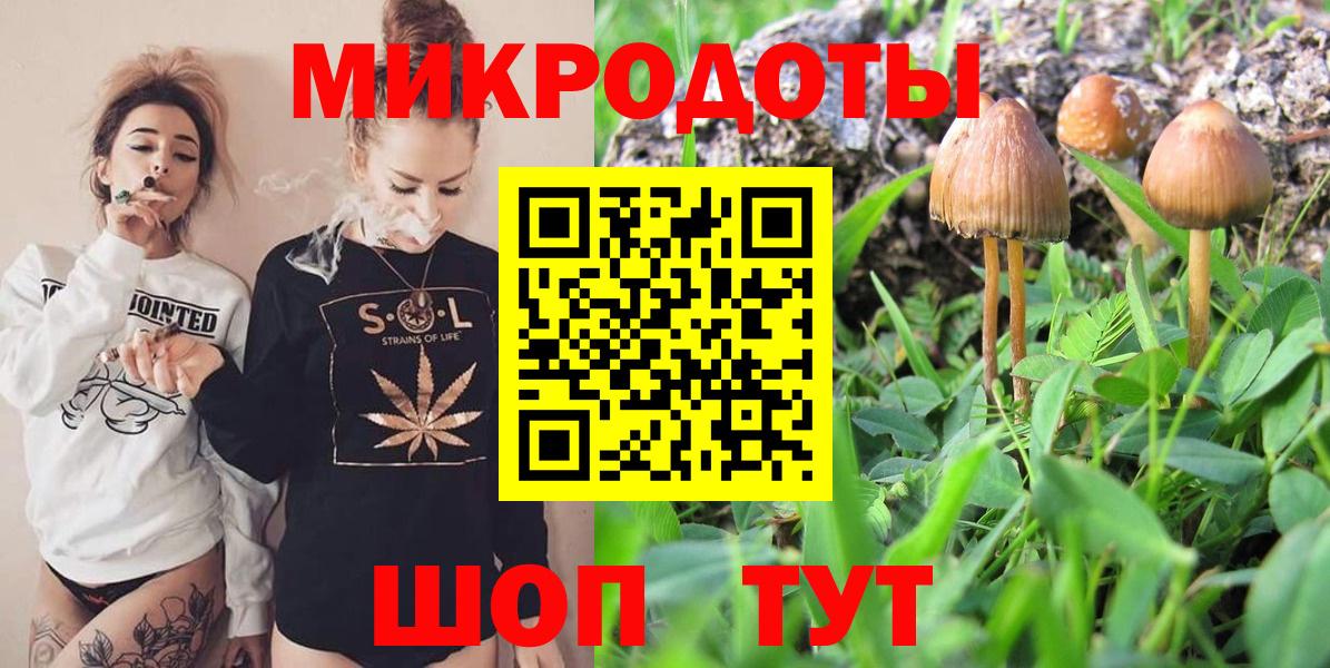 Псилоцибиновые грибы MAGIC MUSHROOMS  Галлюциногенные грибы GOLDEN TEACHER  Углич  Вход с VPN 